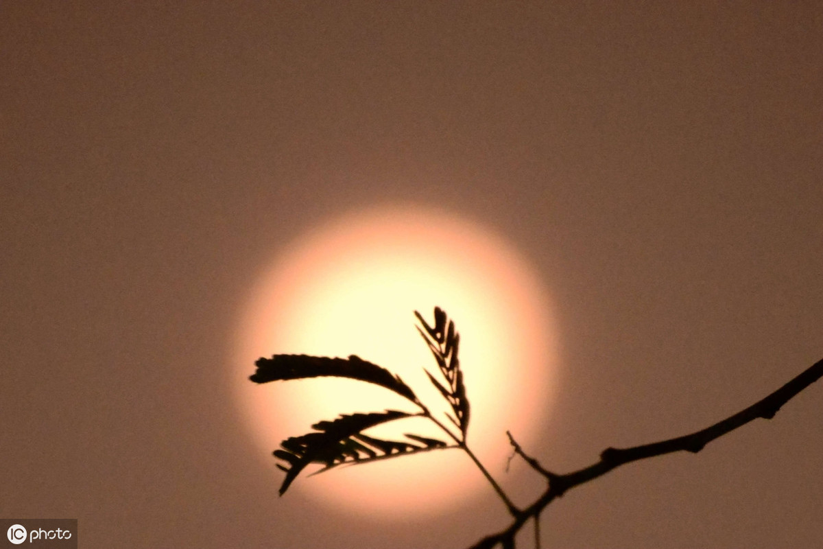 描写中秋节的散文精选（关于中秋节散文全文）