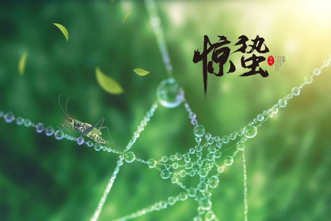 关于惊蛰的古诗（惊蛰的古诗词精选）
