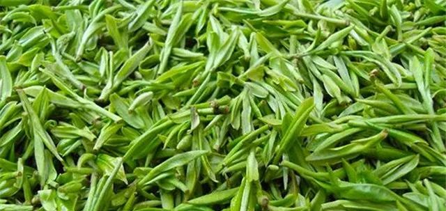 春茶的诗句唯美（三月春茶美好句子）