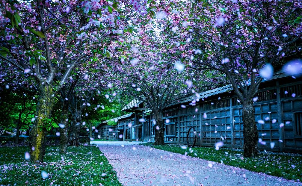描写春景的古诗有哪些（15首春景古诗欣赏）
