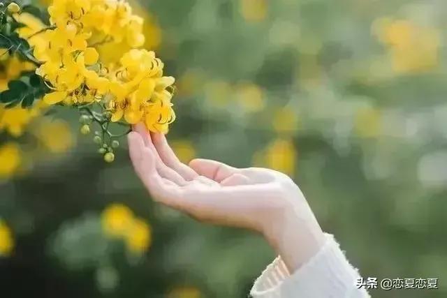 珍爱生命的意义唯美句子（关于珍爱生命的优美段落）