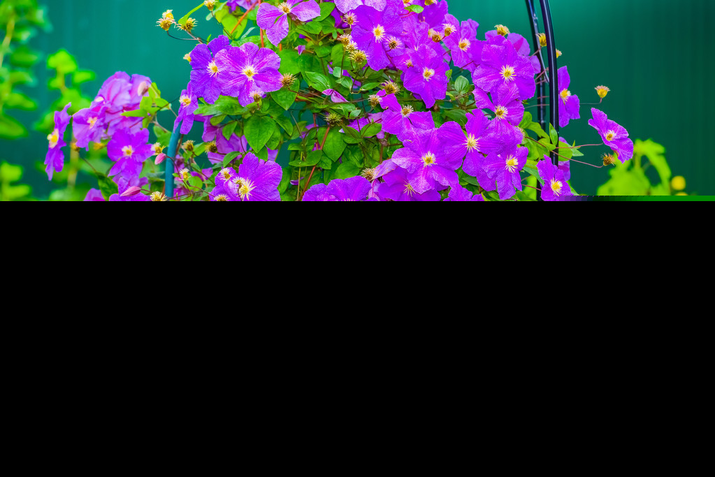 描写生活充满诗情画意的诗句（诗意唯美的8首古诗）