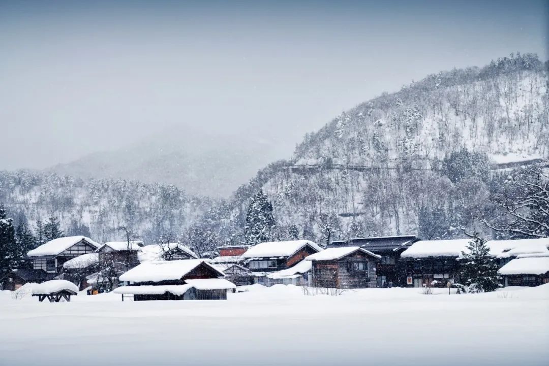 冬雪的诗句有哪些（有关冬雪的经典诗词）