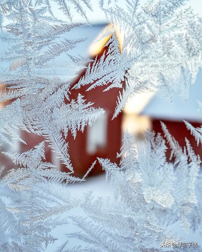 描写下雪的优美句子（感受雪景的心情短语）
