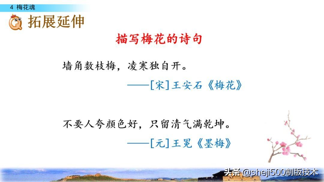课文梅花魂指的是什么（梅花魂全文知识）