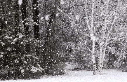 雪景句子唯美简短诗句（7首描写雪景的诗句）