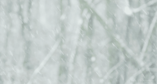 雪景句子唯美简短诗句（7首描写雪景的诗句）
