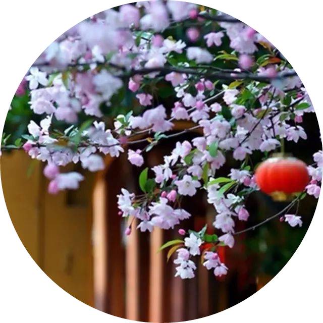 诗经中最唯美的句子及赏析（诗经中15条唯美诗句及赏析）