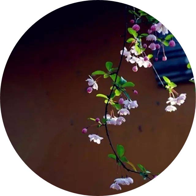 诗经中最唯美的句子及赏析（诗经中15条唯美诗句及赏析）