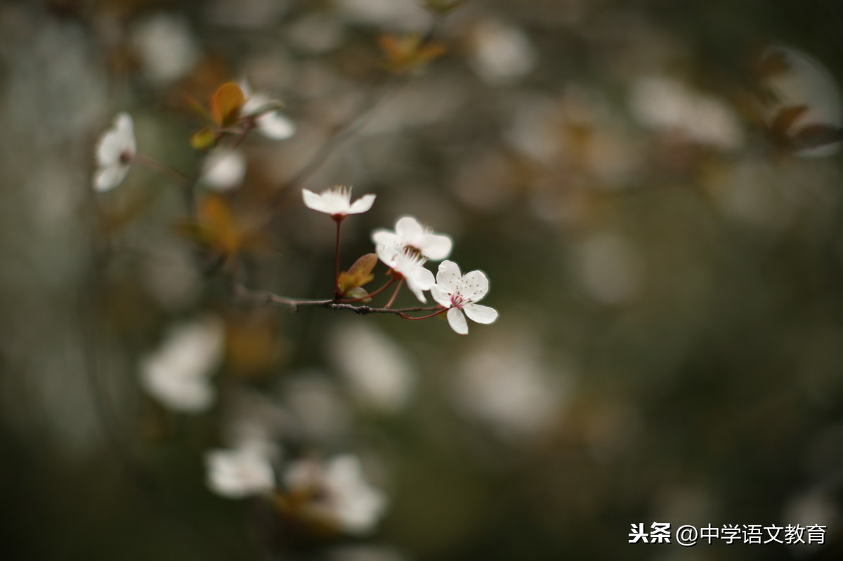 关于宽容的句子有哪些（分享23条宽容经典句子）
