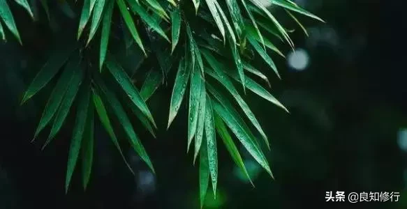 茶古诗词名句赏析（茶文化最著名的诗句）