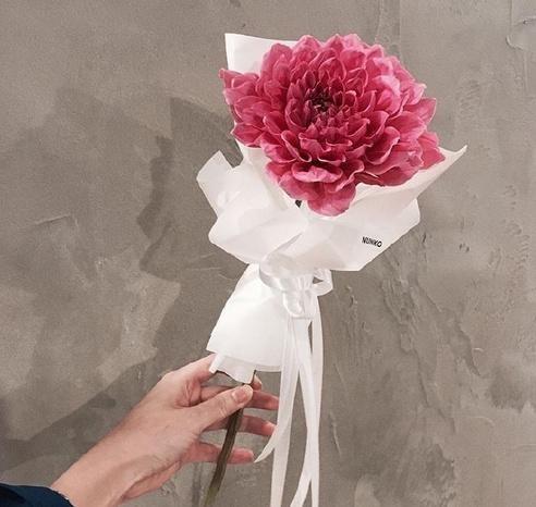 给女朋友写情书的句子（煽情感人的30条爱情语录）
