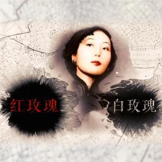 张爱玲经典作品推荐（张爱玲最出名的书）