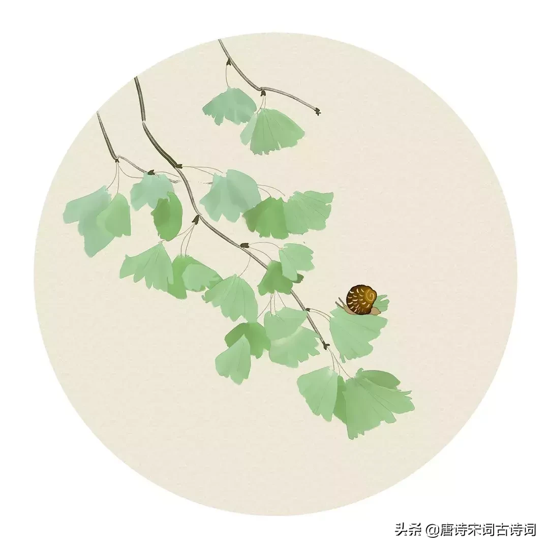 关于夏天的古诗大全（小学关于夏天的古诗）