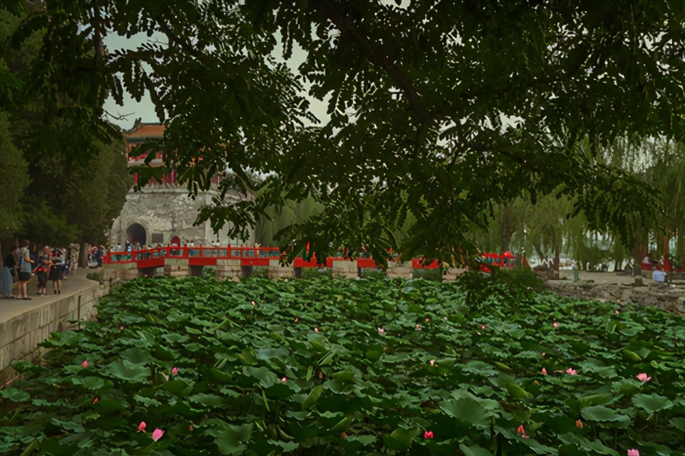 描写春天的散文诗句（最值摘抄的9首春景诗）