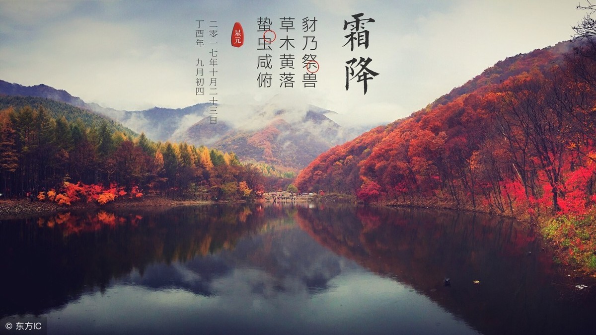 秋霜的诗句有哪些（描写秋霜的唯美句子）