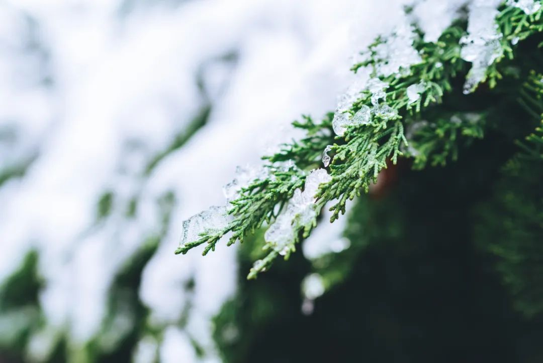 雪景的描写优美句子（雪景的描写优美句子）