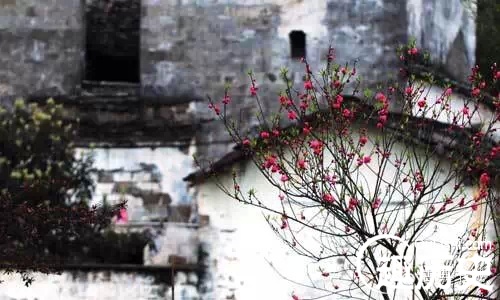 关于清明的古诗文（清明节古诗词和主旨）