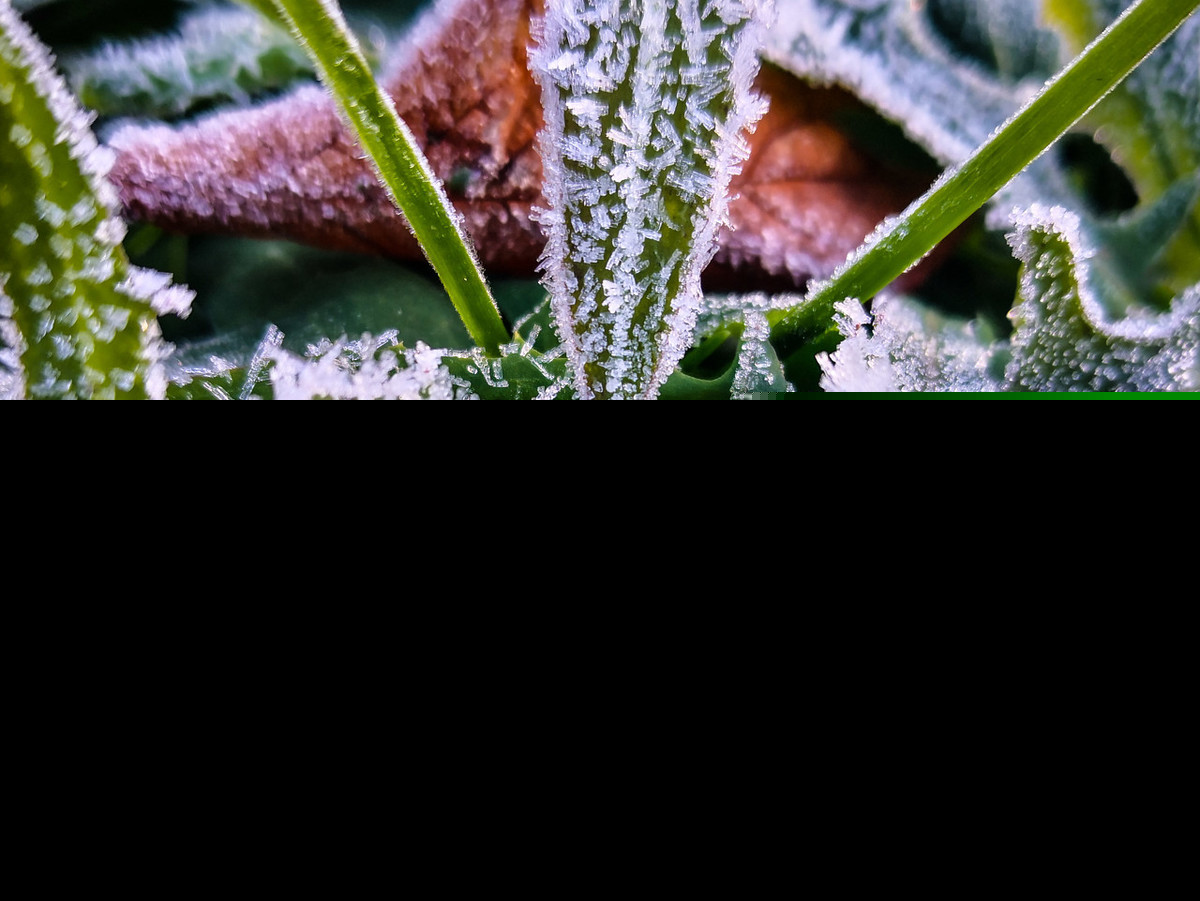 描写秋霜的诗句有哪些（赞美秋霜之美的15首唯美古诗词）