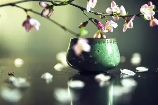 关于茶的诗句古诗（最高境界的茶道诗句）