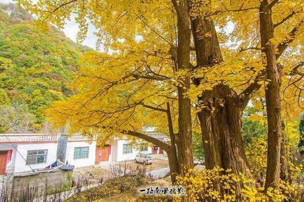 形容时间过得慢的句子（感叹时间太慢的心情说说）