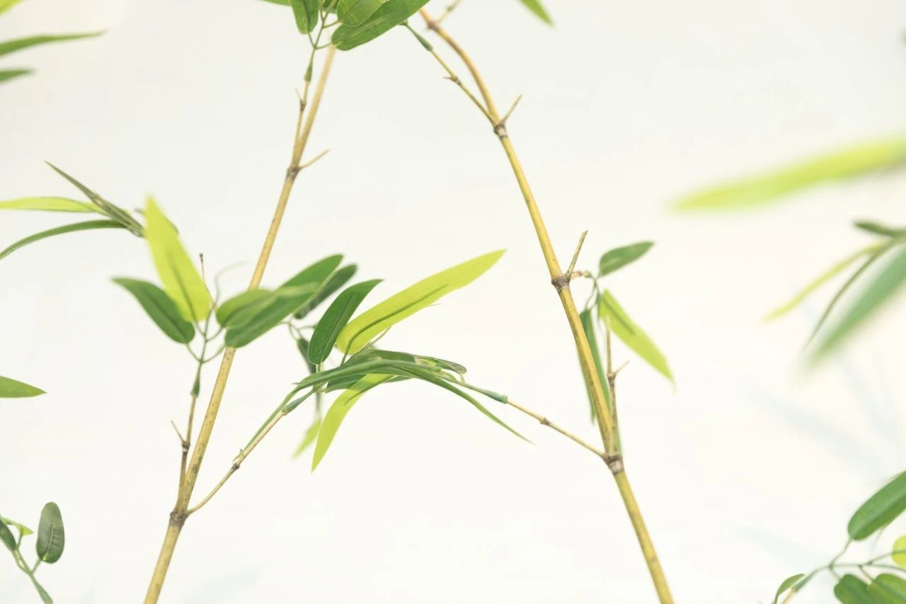被温柔以待类似的句子简短（温柔以待唯美句子分享）