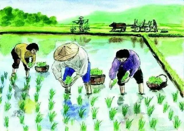 有关思念家乡的诗句（表达思乡之情的古诗 ）