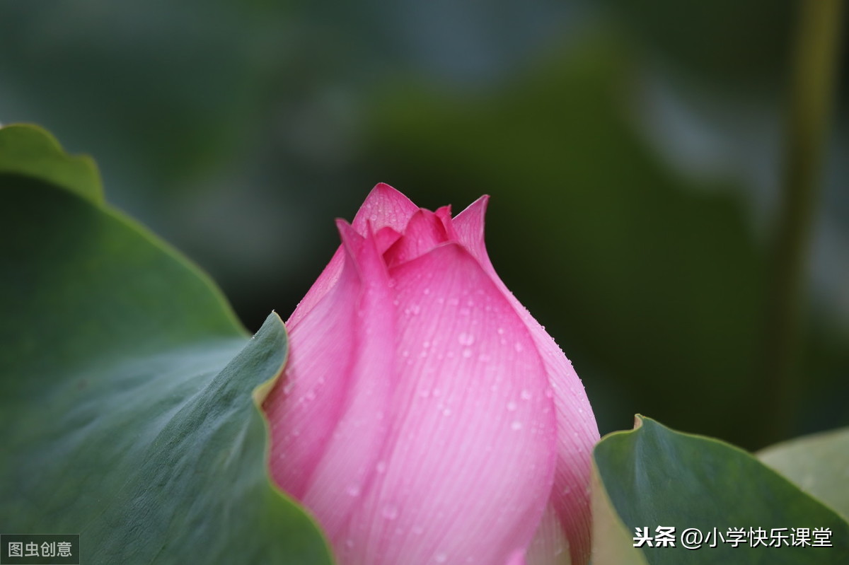 最令我感动的一件事作文（9篇优秀作文范文）