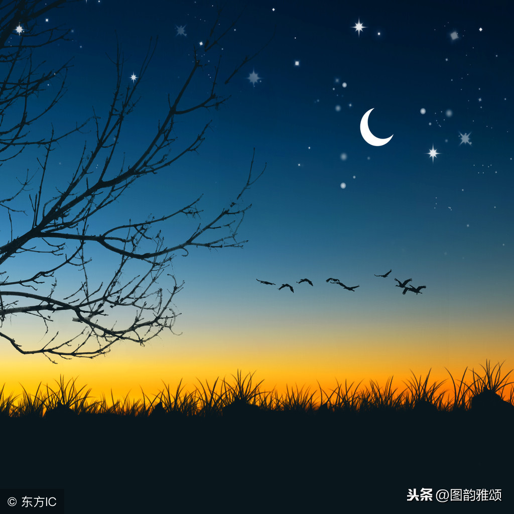 描写月亮的古诗20首有哪些（关于月亮的古诗大全）