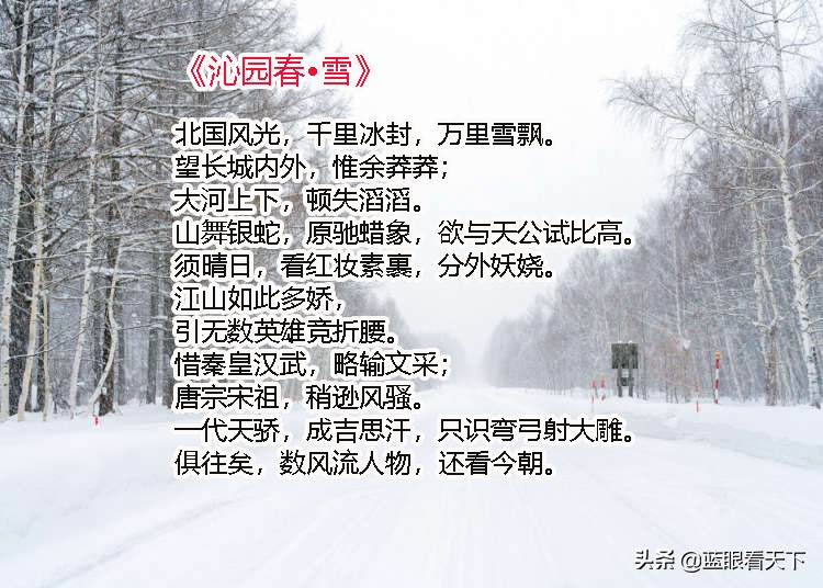描写雪景的诗句有哪些（带有雪景的古诗词）