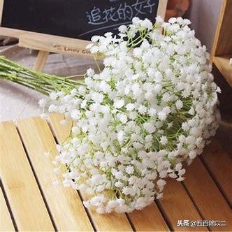 泰戈尔最经典八首诗歌原文（泰戈尔经典励志诗歌）