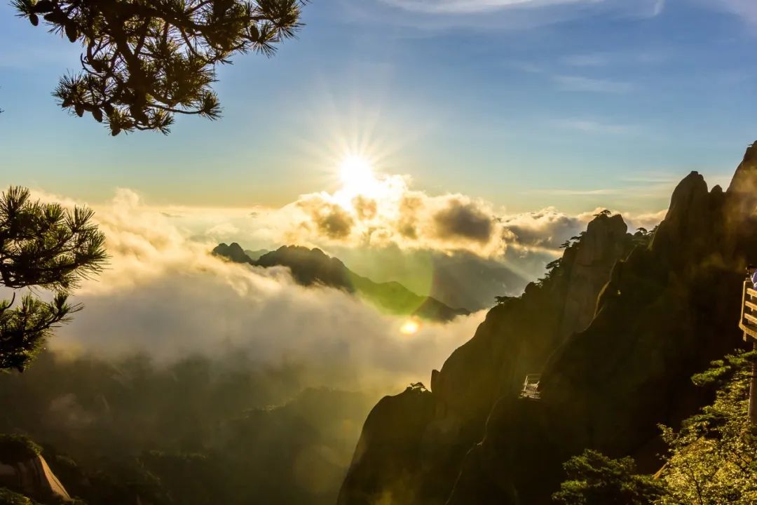 九九重阳节的诗词短句（赞美九九重阳节的诗句）