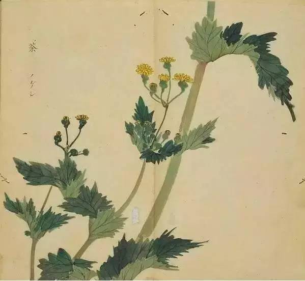 古诗词300首简短（欣赏古诗大全）