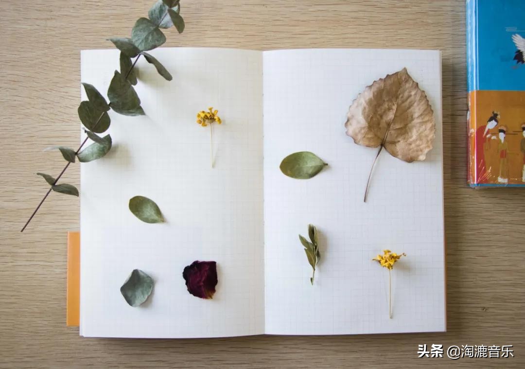 清平乐的诗意简短一点的（清平乐春归何处的诗意）