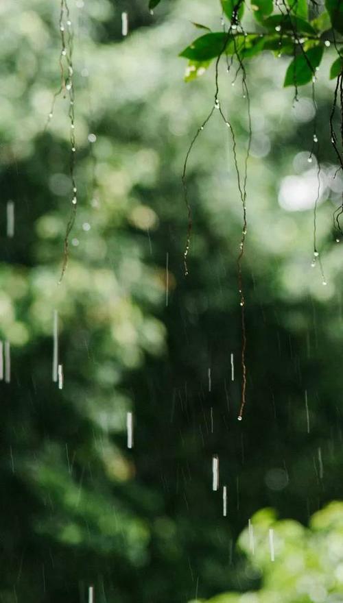 写雨的散文随笔唯美（关于雨的美文摘抄 ）