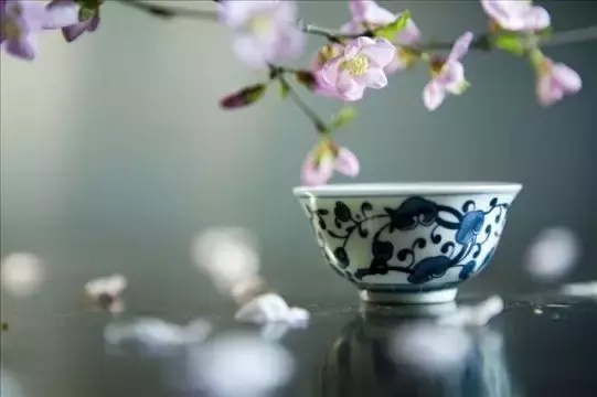 关于茶的诗有哪些（茶文化唯美诗词）