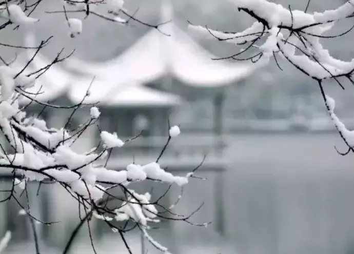 冬至的诗句古诗大全（关于冬至的诗句古诗词）