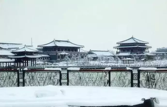 冬至的诗句古诗大全（关于冬至的诗句古诗词）