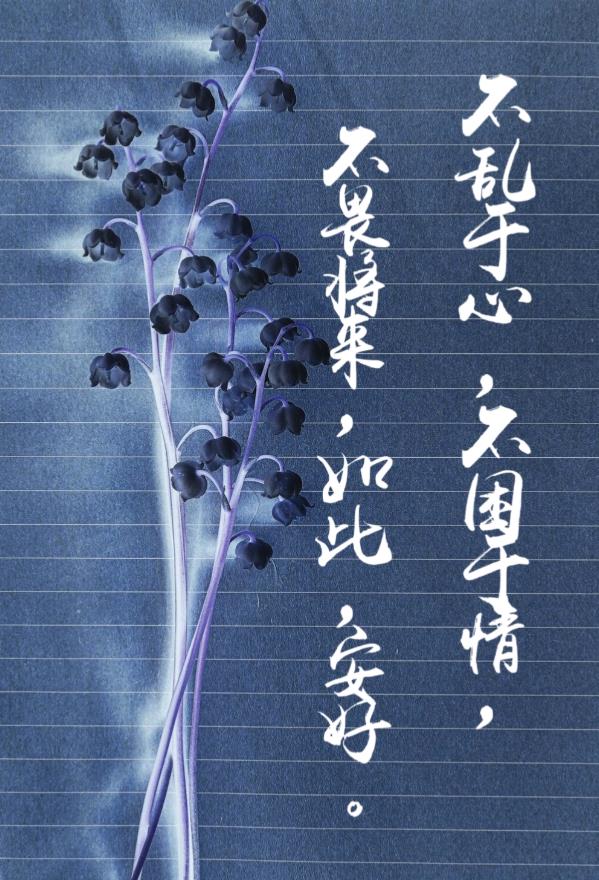 古风语句唯美诗句（淡雅唯美古风意境句子)
