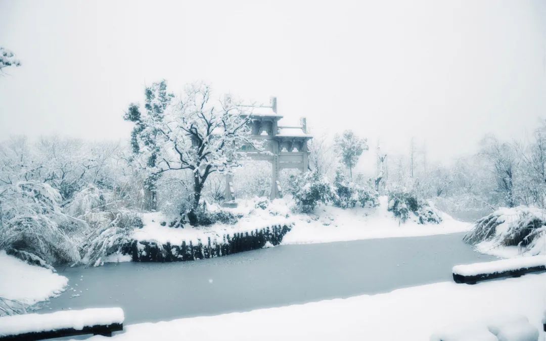 写雪的诗词鉴赏（描写雪景的古诗 ）