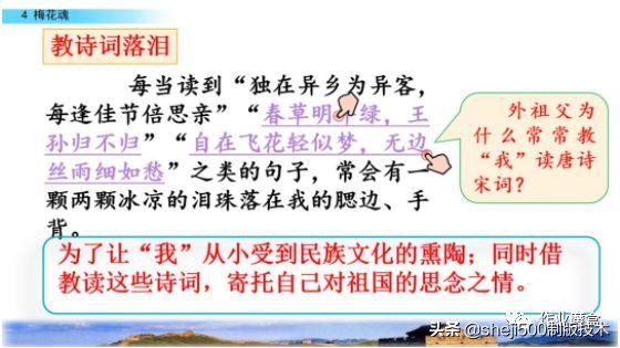 课文梅花魂指的是什么（梅花魂全文知识）