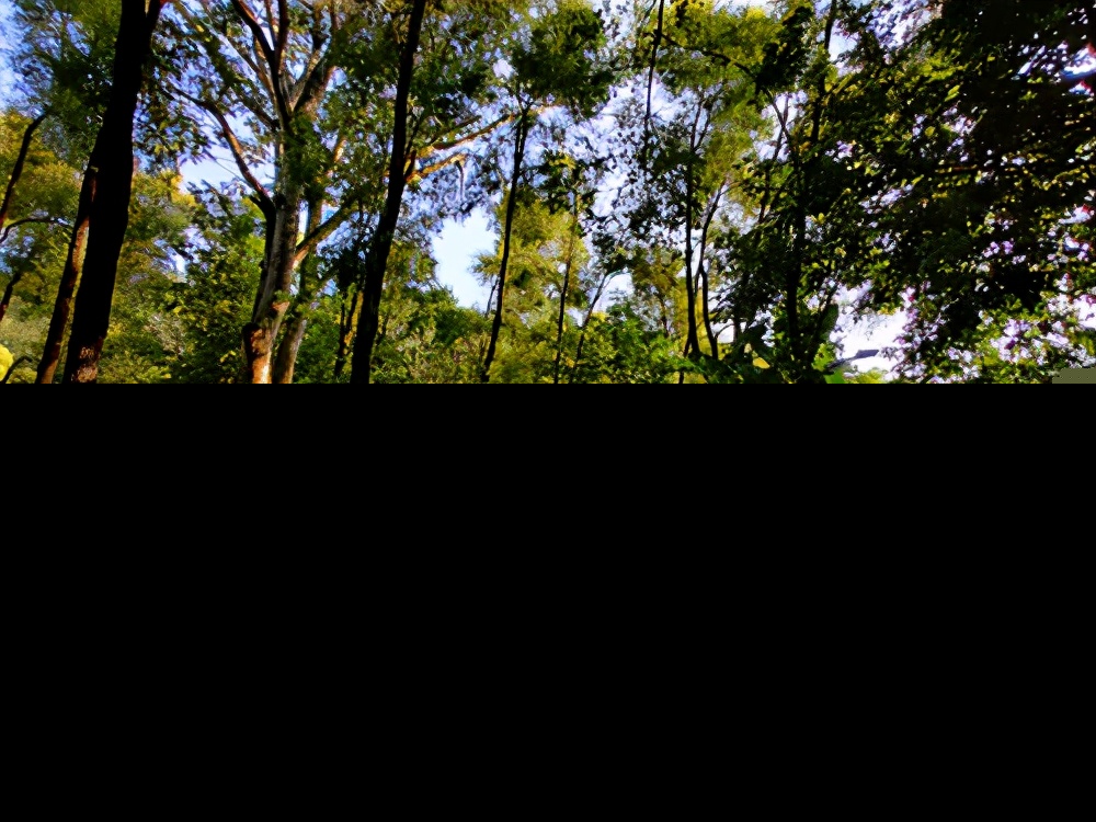 描写春天的散文诗句（最值摘抄的9首春景诗）