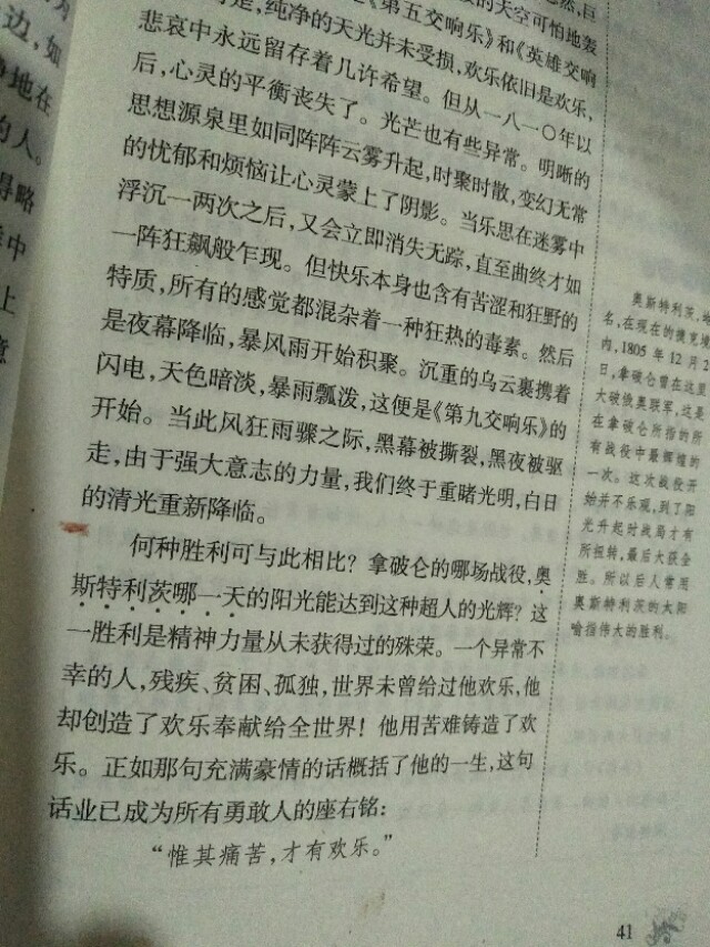贝多芬传记读后感怎么写（读贝多芬传记的心得）