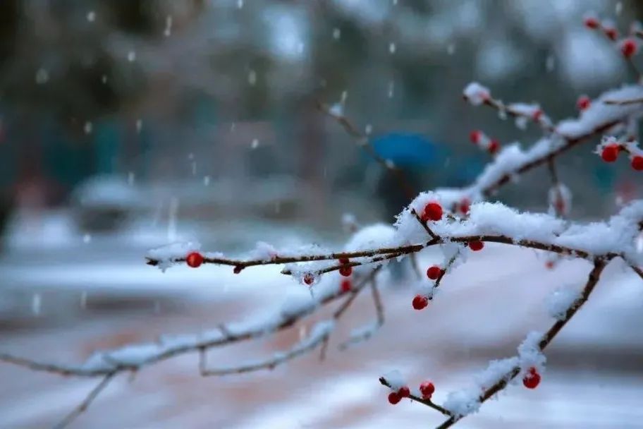 雪景的描写优美句子（雪景的描写优美句子）
