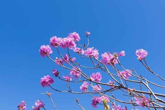 青春的诗句或名言（赞美青春奋斗的古诗词）