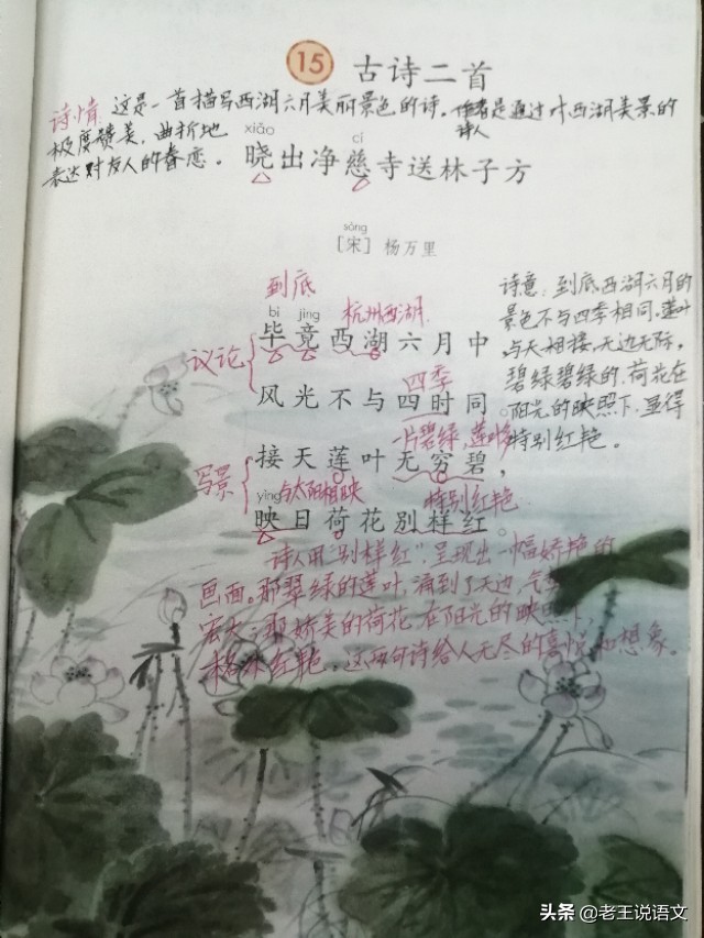 古诗晓出净慈寺加拼音其一（古诗晓出净慈寺全文解析）