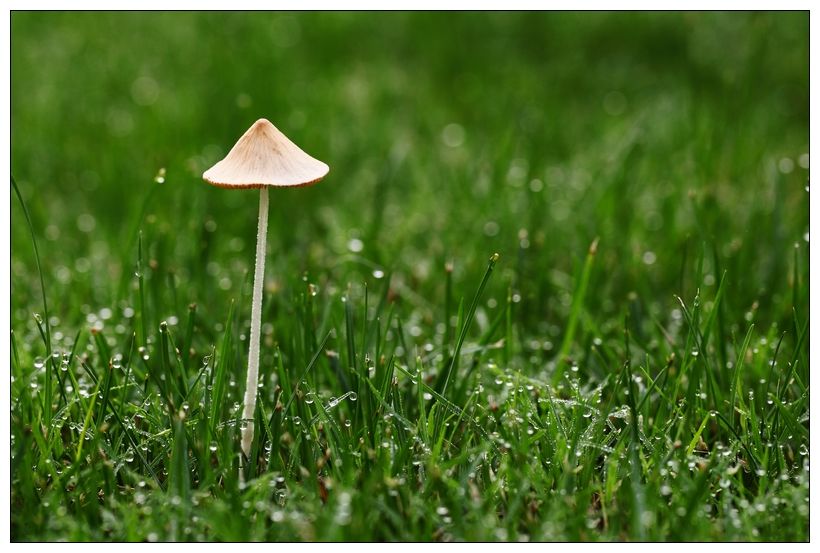 相爱又不能在一起的句子（互相喜欢因现实不能在一起的诗句）