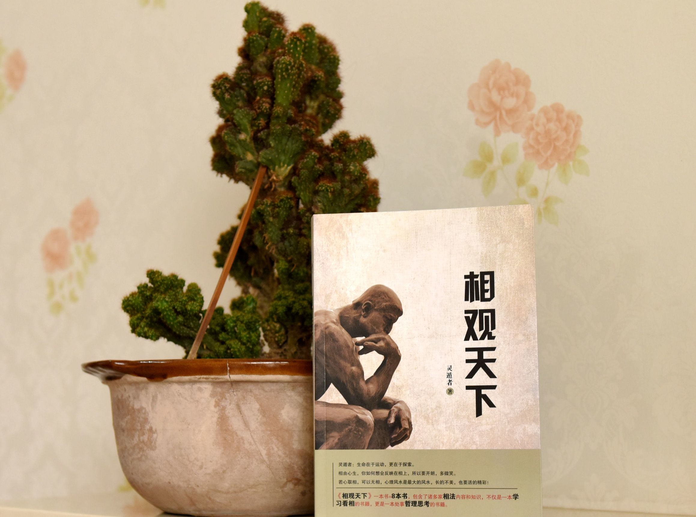 自创10首古诗歌（10首唯美诗歌欣赏）