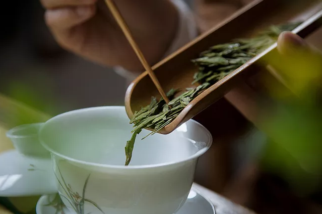 春茶的诗句唯美（三月春茶美好句子）
