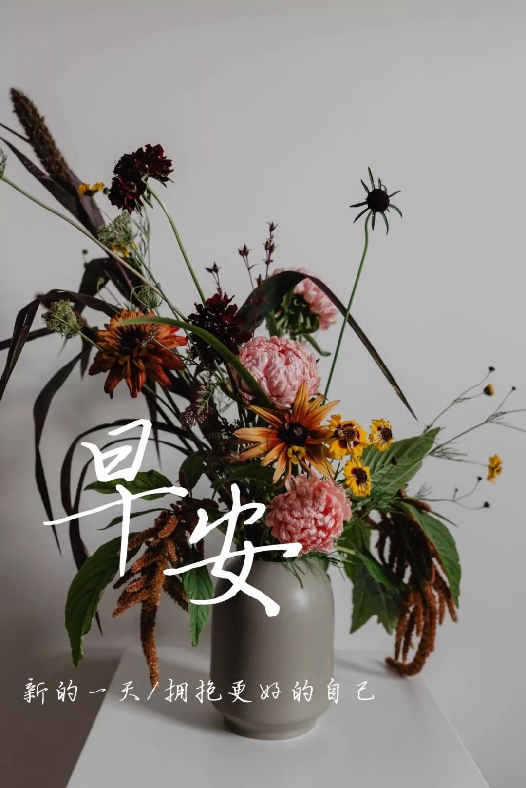 早安问候语简短一句话（2021全新的早安句子）